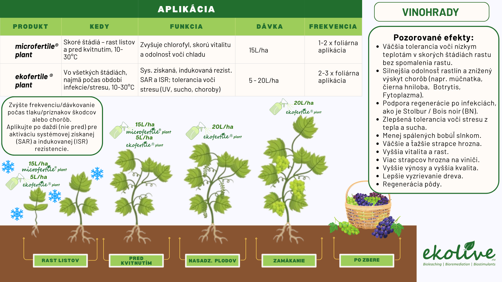 Pôdny stimulátor a prírodné hnojivo ekofertile®plant a  microfertile® plant na vinič